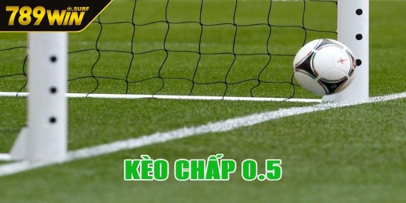 Tất tần tật thông tin về kèo Handicap 789WIN cho tân binh 3 Kèo Handicap 0,5 nổi bật